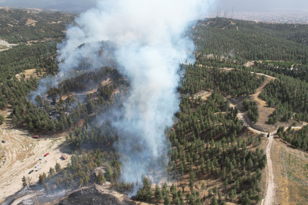 Denizli’de yerleşim yerlerine yakın bölgede orman yangını çıktı